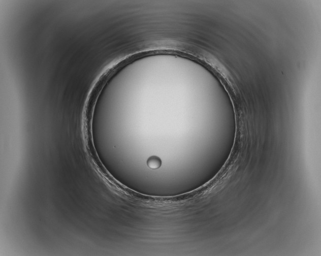 X0000116861072200912221134