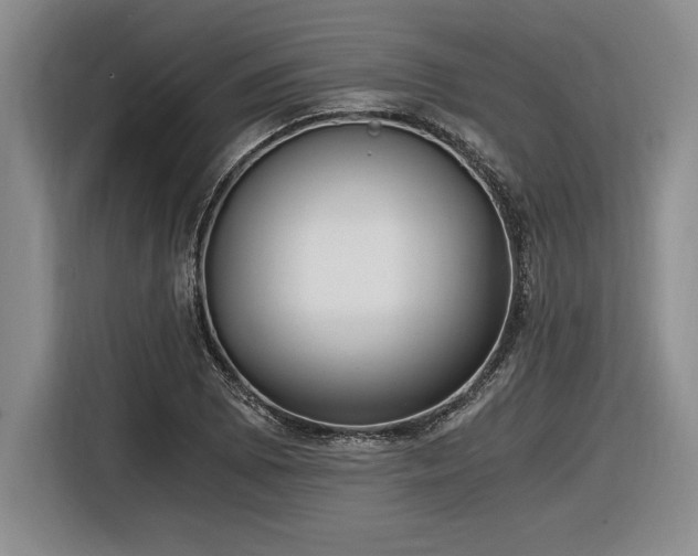 X0000116861073200912221134