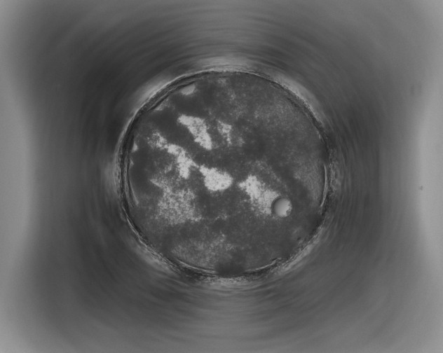 X0000116861074200912221134