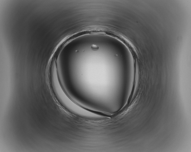 X0000116861075200912221134
