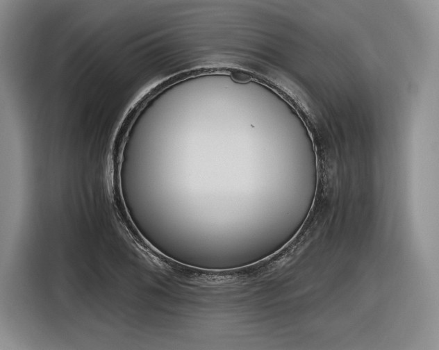 X0000116861076200912221134
