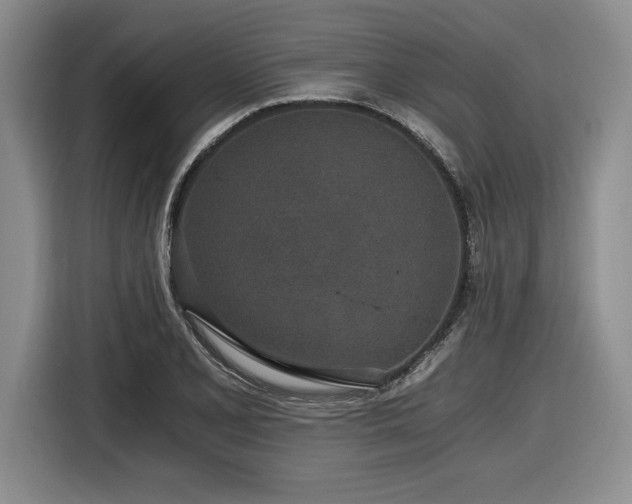 X0000116861077200912221134