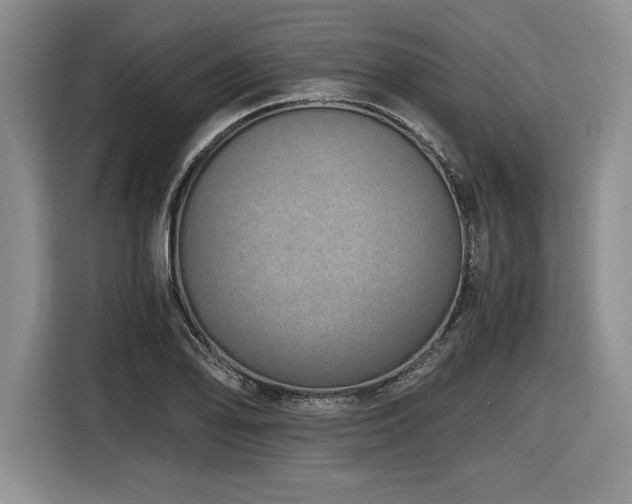 X0000116861078200912221134
