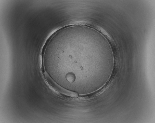 X0000116861079200912221134