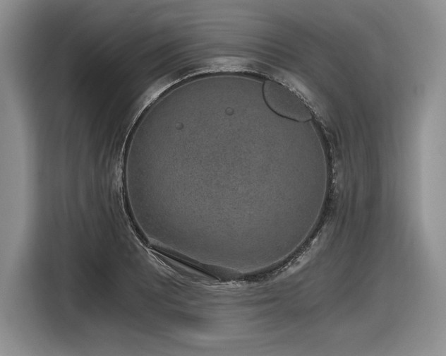 X0000116861081200912221134