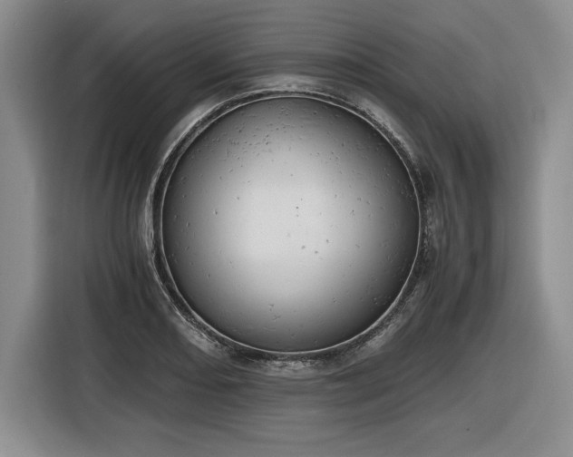 X0000116861082200912221134