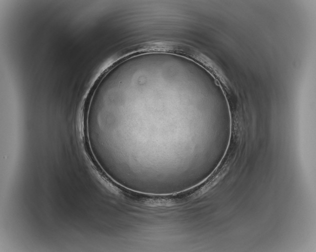 X0000116861083200912221134