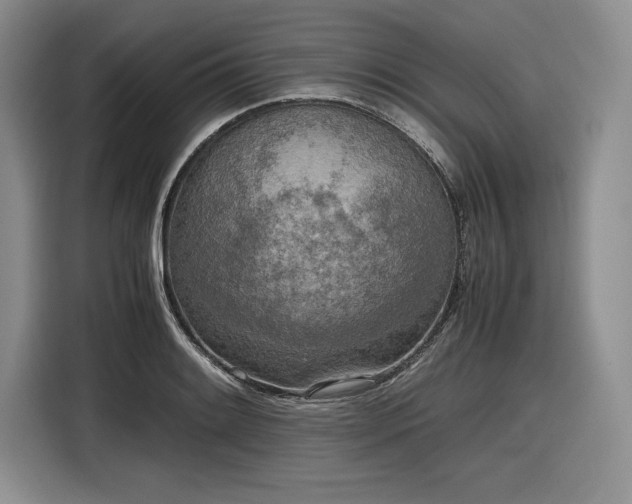 X0000116861084200912221134