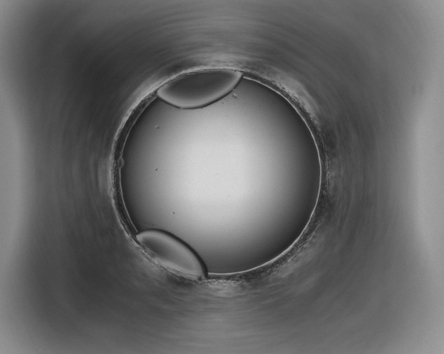 X0000116861085200912221134