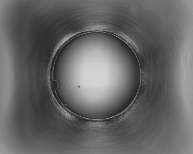 X0000116861086200912221134