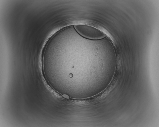 X0000116861088200912221134