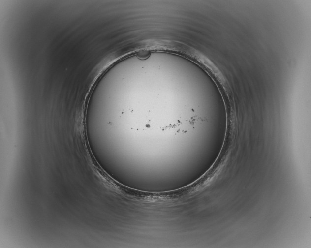 X0000116861089200912221134
