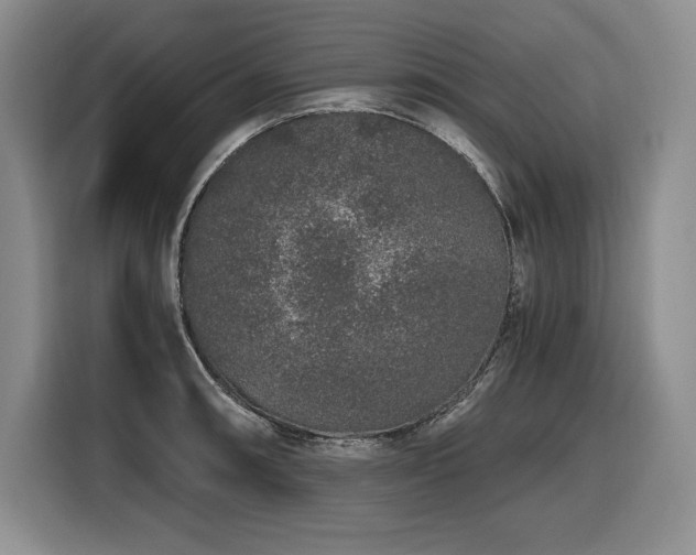 X0000116861090200912221134