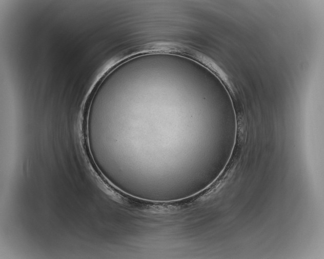 X0000116861091200912221134