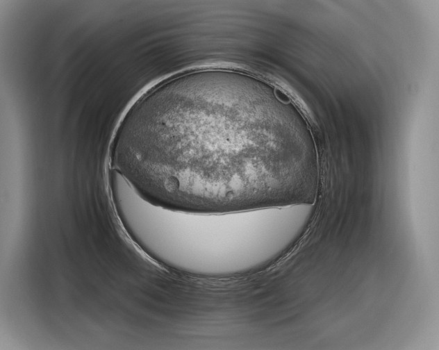 X0000116861092200912221134