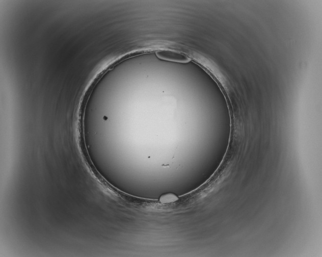 X0000116861093200912221134