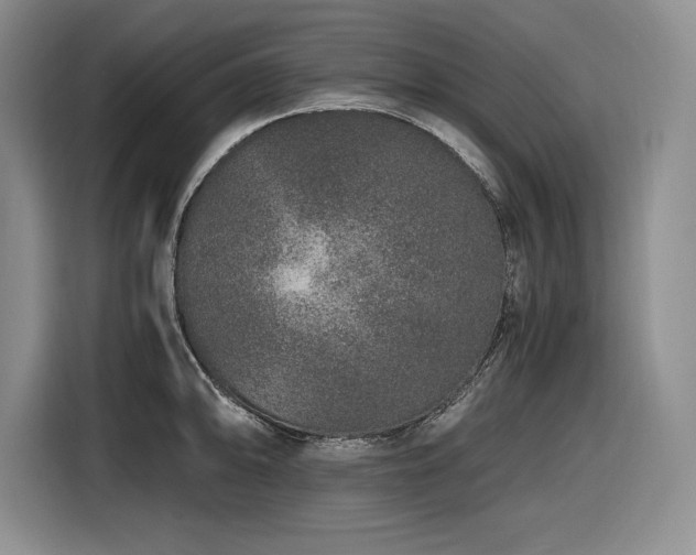 X0000116861094200912221134