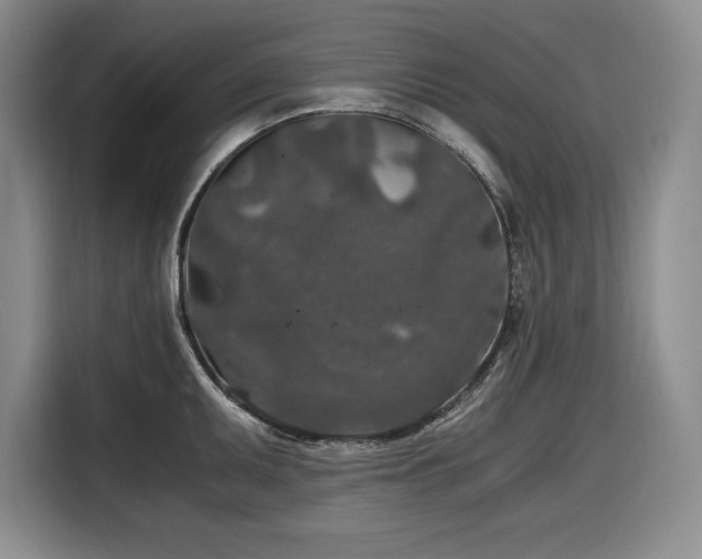 X0000116861095200912221134