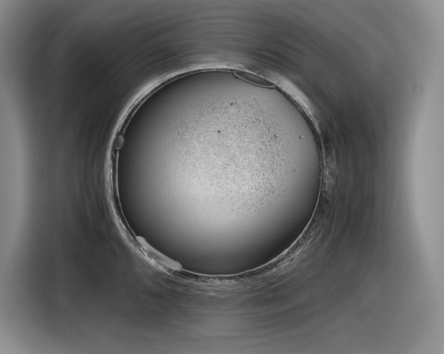 X0000116861096200912221134