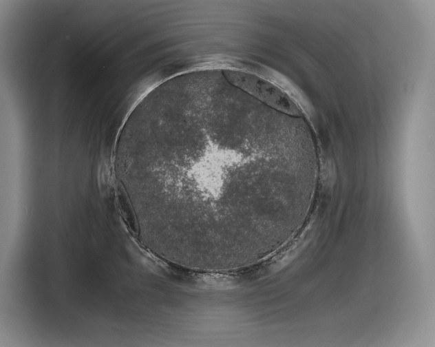 X0000116861097200912221134