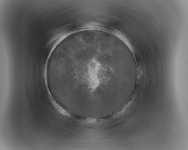 X0000116861098200912221134