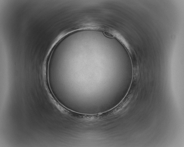 X0000116861099200912221133