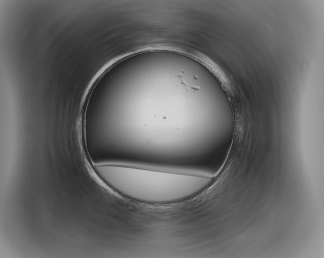 X0000116861100200912221133