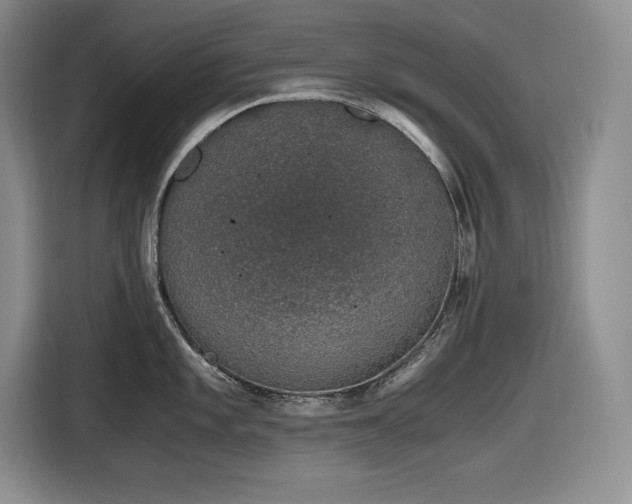 X0000116861101200912221133