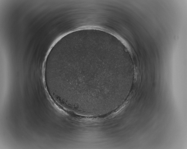 X0000116861102200912221133