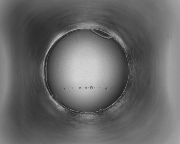 X0000116861103200912221133