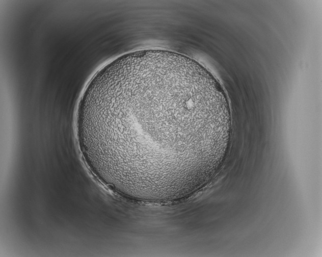 X0000116861104200912221133