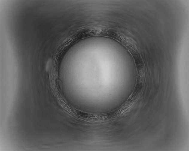 X0000116861105200912221133