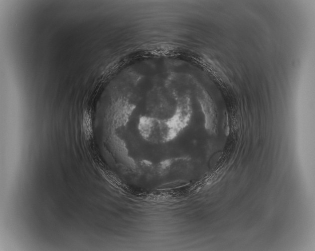 X0000116861106200912221133
