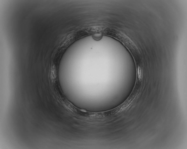 X0000116861107200912221133