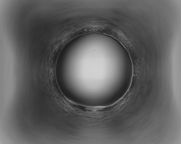 X0000116861109200912221133