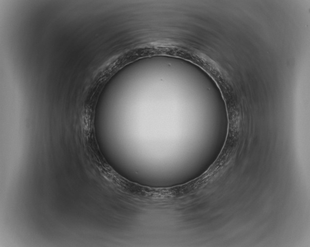 X0000116861110200912221133