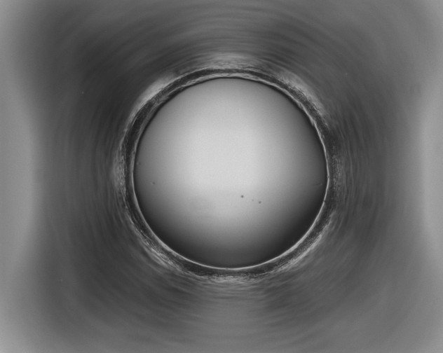 X0000116861114200912221133
