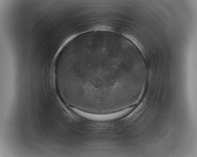 X0000116861115200912221133