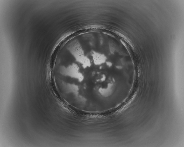 X0000116861117200912221133