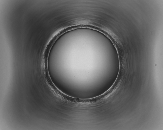 X0000116861118200912221133