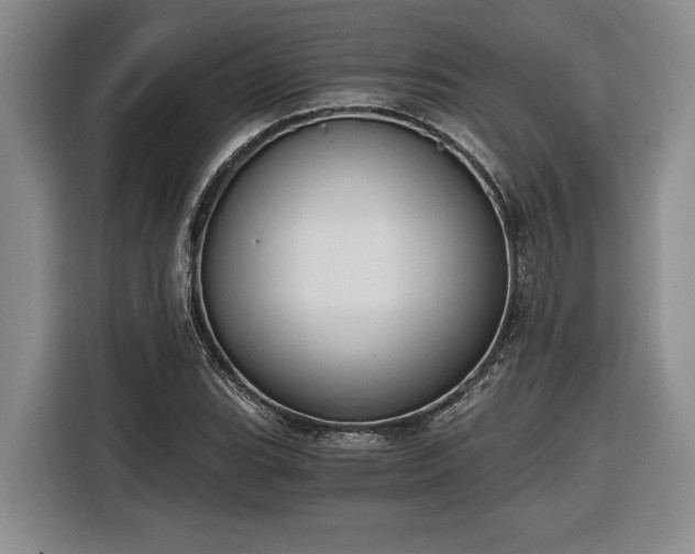 X0000116861119200912221133
