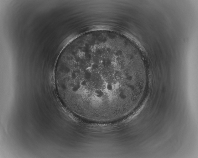 X0000116861121200912221133