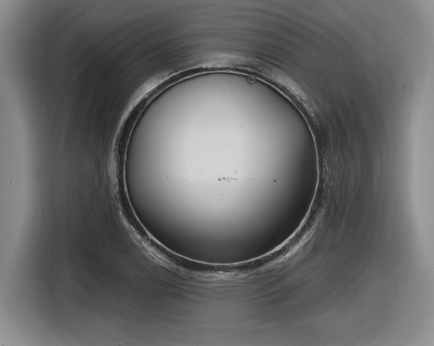 X0000116861122200912221133