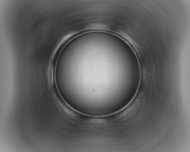 X0000116861123200912221133