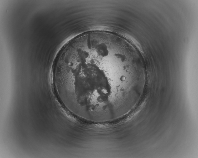 X0000116861125200912221133