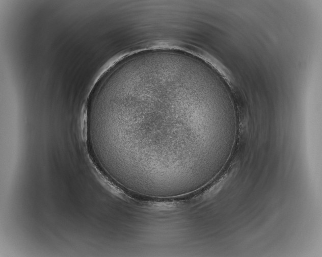 X0000116861126200912221133