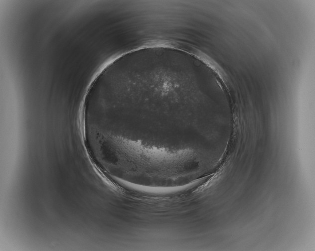 X0000116861127200912221133
