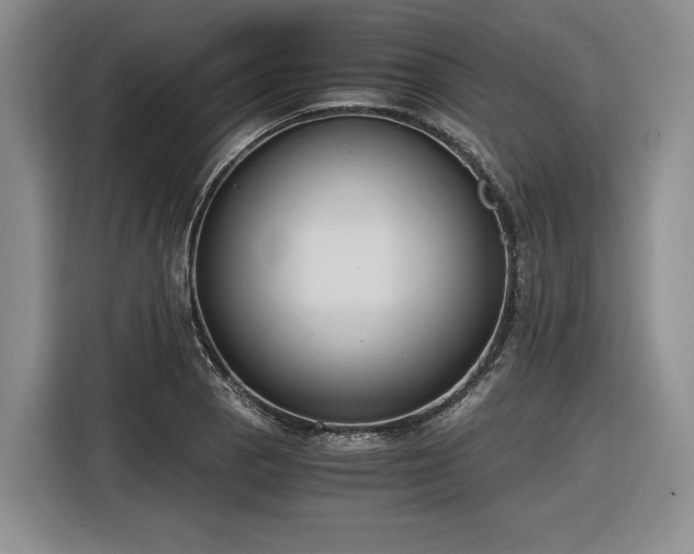 X0000116861129200912221133
