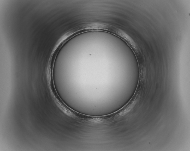 X0000116861130200912221133