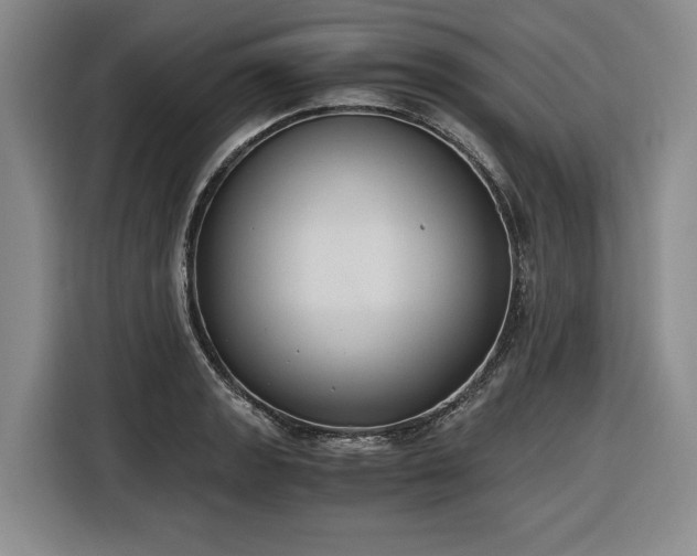 X0000116861133200912221133